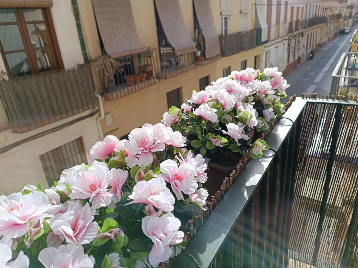 New! Luxury City Center & 2 Balconies Malaga Spain
